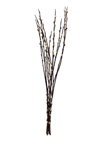 Palmkätzchen ca. 85-90cm Bund (geeignet für Tischvasen)(ca. 6 Zweige)