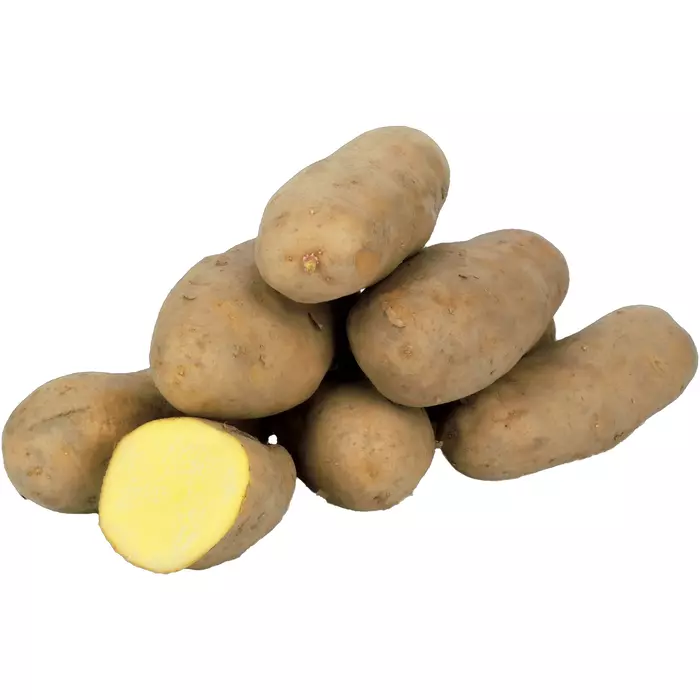 Bio Kartoffel festk. KL.2 per KG