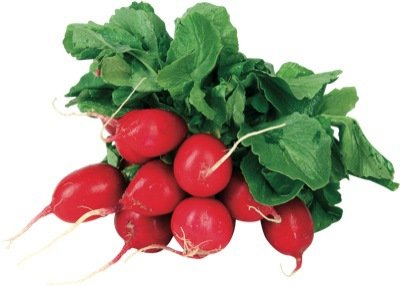 Radieschen KL. 1  Snack/Bund