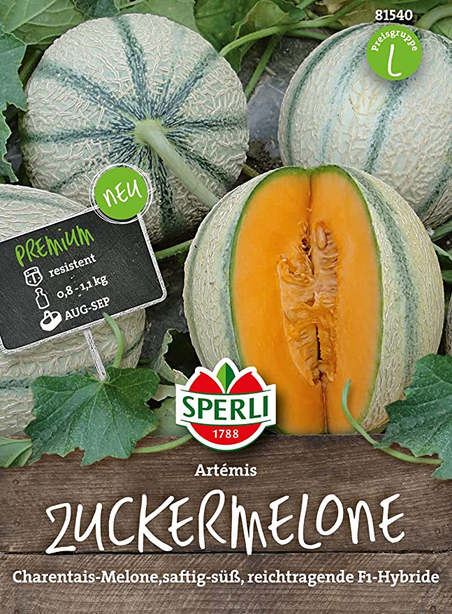 Sperli Premium Zuckermelone Samen Artemis