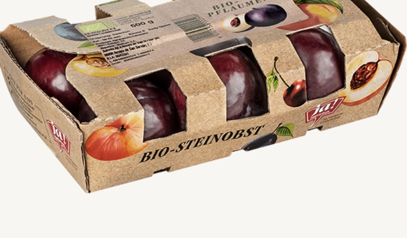 Bio Pflaumen 500g