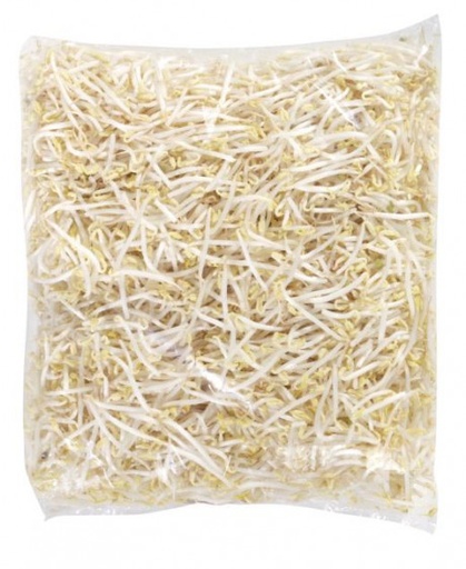 BIO Mungobohnensprossen 1000g