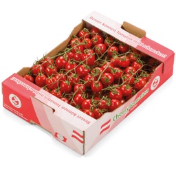 [893537] Tomaten Cherry "Ciara" KLI, 3KG Österreich