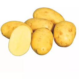 [1298819] Kartoffel vorw. festk.  KG