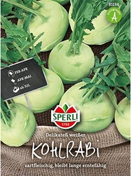 [81134] Sperli Premium Kohlrabi Samen Delikateß Weißer