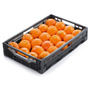 [815541] Bio Orangen KL. 2 1KG